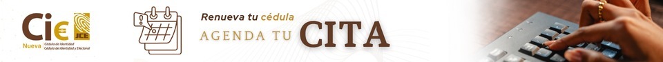 Citas para la nueva cédula.
